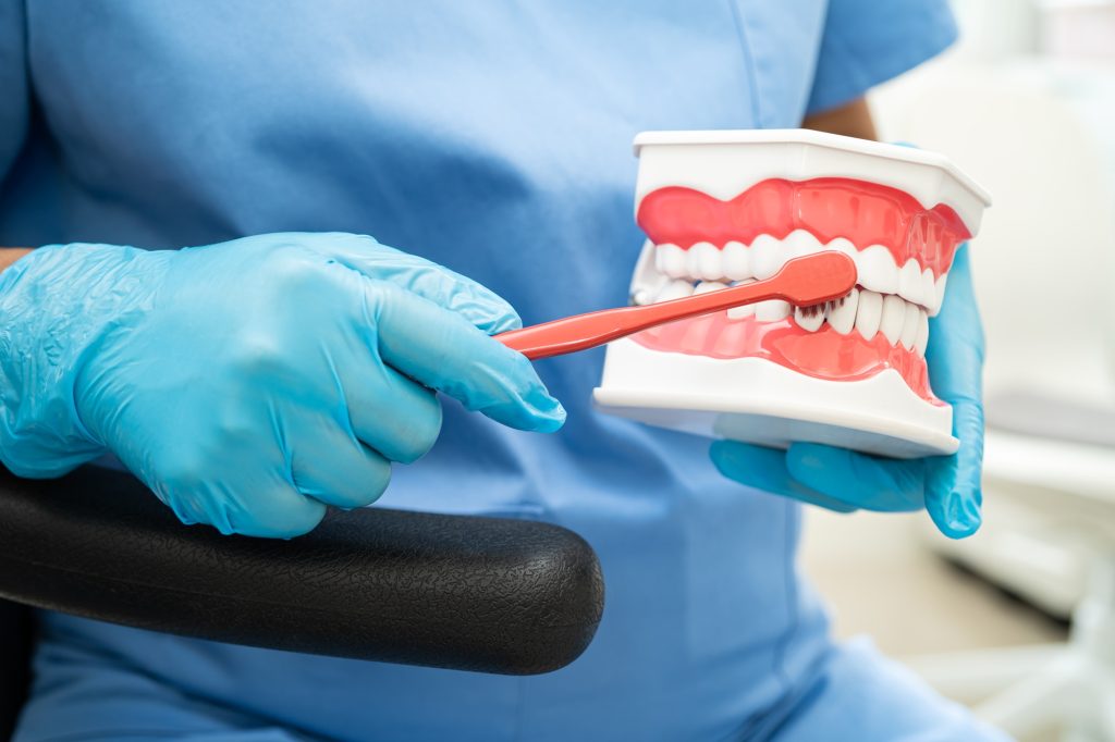Dentist demonstrating brushing technique on dental model